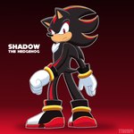 anthro background_shot clothing footwear gloves handwear inhibitor_ring male shoes solo travis_the_dragon sega sonic_the_hedgehog_(series) shadow_the_hedgehog eulipotyphlan hedgehog mammal 1:1 hi_res