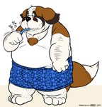 anthro belly brown_body brown_fur bulge clothing fur kemono male overweight overweight_anthro overweight_male shirt simple_background solo topwear underwear white_background white_body white_fur norataro bernese_mountain_dog canid canine canis domestic_dog mammal molosser mountain_dog swiss_mountain_dog 2007 low_res