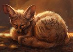 ambiguous_gender comfortable curled_up eyes_closed feral fur lying nude photorealism sleeping solo tan_body tan_fur kenket canid canine fennec_fox fox mammal true_fox 2018 painting_(artwork) restricted_palette traditional_media_(artwork) warm_colors