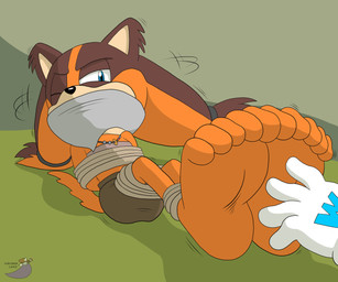 5_toes anthro barefoot bdsm bondage bound captured cloth_gag duo feet female foot_fetish foot_focus gag gagged hands_behind_back humanoid_feet otm_gag plantigrade restrained restraints rope soles submissive submissive_female tickle_torture tickling toes sorcererlance sega sonic_boom sonic_the_hedgehog_(series) sticks_the_jungle_badger badger mammal mustelid musteline