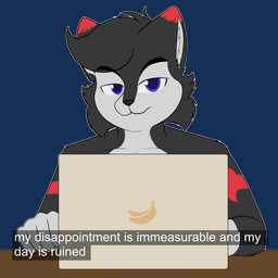 anthro black_body black_fur blue_eyes computer disappointed electronics fur grey_body grey_fur hair laptop looking_at_viewer male multicolored_body multicolored_fur simple_background solo text transparent_background two_tone_body two_tone_fur coloredprinter canid canine canis mammal wolf 1:1 alpha_channel digital_media_(artwork) english_text hi_res meme reaction_image