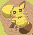 ambiguous_gender carpet eggshell feral fur green_eyes hatching logo lying newborn on_back smile solo tail yellow_body yellow_fur young young_feral pichu90 nintendo pokemon generation_2_pokemon pichu pokemon_(species) artist_logo hi_res