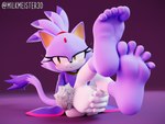 5_toes anthro blush clothing embarrassed feet female foot_focus fur humanoid_feet looking_away plantigrade purple_body purple_fur sitting sitting_on_ground soles solo toes milkmeister3d sega sonic_the_hedgehog_(series) blaze_the_cat domestic_cat felid feline felis mammal 2024 3d_(artwork) 4:3 absurd_res digital_media_(artwork) hi_res signature