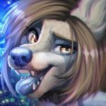 anthro female fur looking_at_viewer simple_background solo tongue sorafoxyteils chai_(kingschoolyou) canid canine mammal 1:1 2019 digital_media_(artwork) hi_res