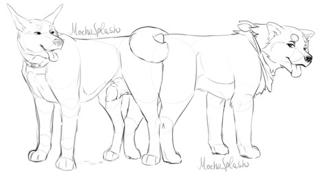 anal anal_knotting anal_penetration animal_genitalia animal_penis ass_to_ass bodily_fluids canine_genitalia canine_penis collar curled_tail doberman_pincher duo erection feral feral_on_feral feral_penetrated feral_penetrating feral_penetrating_feral fur genital_fluids genitals intraspecies kerchief knot knotting leaking leaking-cum leaking_penis leaking_precum male male/male male_penetrated male_penetrating male_penetrating_male open_mouth paws penetration penile penile_penetration penis precum reverse_doggystyle sex sheath smile stuck stuck_genitals stuck_knot stuck_penis stuck_together tail tongue tongue_out mochasplash kenzo_the_akita_inu rex_the_dobermann akita akita_inu canid canine canis dobermann domestic_dog mammal pinscher spitz digital_drawing_(artwork) digital_media_(artwork) monochrome sketch