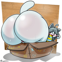 anthro big_butt blush bodily_fluids border box butt butt_focus cardboard cardboard_box clothing container eyebrows female genitals grey_hair hair huge_butt hyper hyper_butt inside_box looking_back one_eye_closed open_mouth pattern_clothing pattern_sweater pattern_topwear raised_eyebrows raised_tail rear_view solo striped_clothing striped_sweater striped_topwear stripes sweat sweater sweaty_butt tail text thick_thighs topwear vulva white_body white_border white_tail wink randompersonguy undertale undertale_(series) temmie_(undertale) tem 1:1 2025 digital_drawing_(artwork) digital_media_(artwork) english_text hi_res signature
