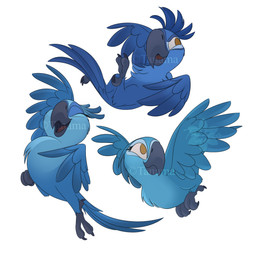 avian_feet beak black_beak black_feet blue_body blue_feathers brown_eyes feather_hair feathers feet female feral flying group male pseudo_hair toony trio tanama 20th_century_fox blue_sky_studios rio_(series) bia_(rio) carla_(rio) tiago_(rio) avian bird macaw neotropical_parrot parrot spix's_macaw true_parrot 1:1 absurd_res hi_res