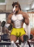 2024 5_fingers anthro biped bulge clothed clothing clydesdale countershade_torso countershading draft_horse dynamo_(muscletarzan) equid equine exercise eyebrows fingers hi_res horse male mammal muscular muscular_anthro muscular_male rov tail weightlifting weights workout yellow_clothing