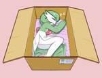 box container female sleeping solo ninebuttom nintendo pokemon gardevoir generation_3_pokemon humanoid pokemon_(species)