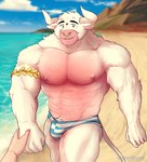 anthro armband beach biceps bulge clothing detailed_bulge duo facial_piercing first_person_view fur greek_flag hand_holding horn male male_focus muscular muscular_male nipples nose_piercing nose_ring pecs piercing ring_piercing seaside smile smiling_at_viewer solo_focus speedo swimwear white_body white_fur toragoru european_mythology greek_mythology minotaur_hotel mythology asterion_(minotaur_hotel) bovid bovine human mammal minotaur hi_res