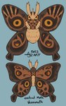 2023 6_legs ambiguous_feral ambiguous_gender arthropod blue_background brown_body brown_wings english_text eyespots fan_character feral flipside front_view fusion generation_1_pokemon generation_2_pokemon insect lepidopteran looking_at_viewer markings model_sheet nintendo noctowl pokemon pokemon_(species) pokemon_fusion rear_view signature simple_background solo text venomoth wings