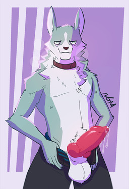 animal_genitalia animal_penis anthro blue_body blue_fur bodily_fluids bottomwear canine_genitalia canine_penis clothing collar fur genital_fluids genitals green_eyes knot knotted_penis male pants penis precum simple_background solo underwear ngmah brand_new_animal studio_trigger shirou_ogami canid canine canis mammal wolf cel_shading digital_media_(artwork) hi_res shaded
