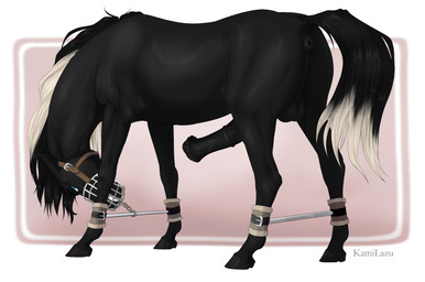 anatomically_correct_feral animal_genitalia animal_penis anus balls bdsm black_body black_fur black_hair blue_eyes bondage bound butt dock_(anatomy) equine_anus equine_genitalia equine_penis erection feral fur genitals hair leg_spreader looking_at_viewer male male_feral medial_ring muzzle_(object) muzzled penis puffy_anus quadruped raised_tail restraints solo spreader_bar tail tail_anus text kamilazu equid equine horse mammal 2022 artist_name full-length_portrait hi_res portrait