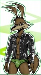 2013 abs anthro brown_fur bulge canine chest_tuft claws clothing coyote fred_e_coyote_(character) fur hair jacket kcee leather leather_jacket looking_at_viewer loonatics_unleashed male mammal muscles open_shirt pose shirt solo speedo standing swimsuit toned tuft
Rating: Questionable
Score: 3
User: Ralph-E-Coyote
Date: January 02, 2014