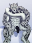 anthro balls flaccid genitals green_eyes male muscular muscular_anthro muscular_male penis solo rwolf felid mammal pantherine snow_leopard