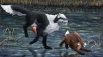 animal_genitalia duo erection female feral genitals grin harassment hunting male male/female pursuit running size_difference smile water darknessisaisha morena_(nightdancer) nightdancer_(character) canid canine canis lagomorph leporid mammal rabbit wolf 16:9 hi_res widescreen