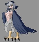 areola black_claws black_sclera blue_body blue_feathers breasts claws eyelashes feathered_wings feathers female front_view grey_background grey_body grey_feathers grey_hair hair looking_at_viewer navel nipples nude pink_areola pink_nipples scales simple_background small_breasts solo tan_body tan_skin winged_arms wings yellow_body yellow_eyes yellow_scales dddoodles european_mythology greek_mythology mythology accipitrid accipitriform avian bird eagle harpy harpy_eagle humanoid mythological_avian mythological_creature winged_humanoid
