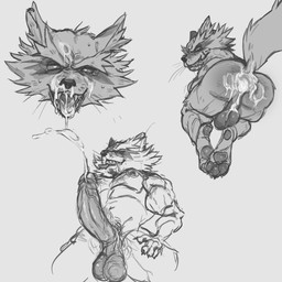 anthro backsack balls big_penis bodily_fluids body_hair butt_hair chest_hair claws cum cum_from_nose cum_in_ass cum_in_mouth cum_in_nose cum_inside cumshot ejaculation feet fluffy fluffy_tail genital_fluids genitals grin hands-free heart_eyes heart_symbol leaking_cum male pawpads penis sharp_teeth small_but_hung smile solo tail teeth whiskers shibuyatank guardians_of_the_galaxy marvel rocket_raccoon mammal procyonid raccoon hi_res sketch sketch_page