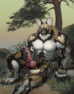abs animal_genitalia anthro balls blue_eyes blue_pawpads bracelet brown_body brown_fur canine_genitalia claws colorful_background erection evergreen_tree fur genitals grass jewelry jock knot knotted_penis male masturbation muscular muscular_male nude pawpads pecs penis pine_tree plant rock smile solo spots sunset tan_body tan_fur tree vein veiny_penis white_body white_fur cu_sith_(artist) african_wild_dog canid canine mammal hi_res watermark