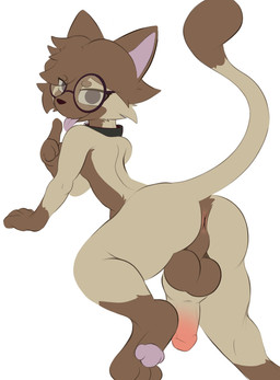 anthro backsack balls collar eyewear genitals glasses male penis raised_tail solo tail tongue tongue_out drawobun jymboh domestic_cat felid feline felis mammal siamese_cat hi_res