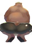 anthro belly brown_body brown_fur butt clothed clothing crouching fur hair male overweight pawpads solo swimwear topless topless_anthro white_hair utukuma257 lifewonders live_a_hero goro_(live_a_hero) bear mammal hi_res