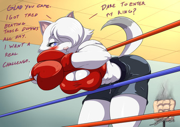 anthro blush bottomwear boxing_gloves breasts cleavage clothed clothed_anthro clothed_male clothing dialogue female fighting_ring fur hair hair_over_eye handwear male pink_nose shorts solo text training_dummy white_body white_fur white_hair souleatersaku90 animal_boxing cami_(animal_boxing) canid canine canis mammal wolf absurd_res english_text hi_res