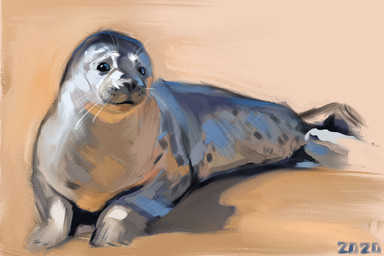 black_eyes black_nose feral fur grey_body grey_fur lying on_sand short_fur solo spots whisker_spots whiskers white_whiskers alexpahomov aquatic harbor_seal mammal pinniped seal 2020 digital_media_(artwork) digital_painting_(artwork) painting_(artwork)