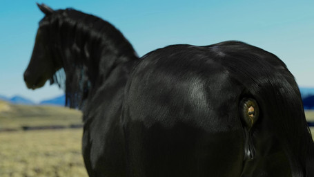 almost_fully_inside anal anal_head_gulp anal_vore animal_genitalia animal_vulva anus black_anus black_vulva body_in_anus duo equine_anus equine_genitalia equine_vulva feces female female_pred feral feral_pred forced genitals human_prey male male/female partially_inside scatplay vore vulva volanare1 equid equine horse human mammal 16:9 3d_(artwork) 3d_animation animated digital_media_(artwork) hi_res huge_filesize short_playtime sound video widescreen