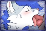animal_genitalia animal_penis anthro anthro_penetrated ballsurfing blue_hair blush blush_lines canine_genitalia canine_penis deep_throat duo eyes_closed fellatio female female_penetrated fluffy fur genitals hair hand_on_penis holding_penis knot licking male male/female male_penetrating male_penetrating_female oral oral_only oral_penetration penetration penile penis penis_in_mouth sex sheath solo tongue tongue_out tongue_out_fellatio white_body white_fur mantucat gabriel_serealia enfield 2d_animation animated frame_by_frame loop short_playtime