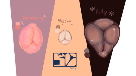 animal_genitalia animal_vulva canine_genitalia canine_vulva female feral genitals hair simple_background text vulva fifity canid canine mammal 16:9 4k absurd_res digital_drawing_(artwork) digital_media_(artwork) hi_res shaded widescreen