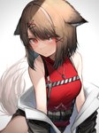 accessory blush breasts brown_body brown_fur brown_hair clothed clothing female fluffy fur hair hair_accessory looking_at_viewer red_eyes solo tail tabhead arknights hypergryph studio_montagne cutter_(arknights) animal_humanoid canid canid_humanoid canine canine_humanoid dog_humanoid humanoid mammal mammal_humanoid 2022 absurd_res alternate_version_at_source digital_media_(artwork) hi_res