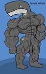 anthro balls big_balls big_biceps big_pecs big_penis genitals huge_penis james_whale_(kogo) male muscular muscular_male pecs penis solo thick_thighs kogo cetacean mammal marine whale absurd_res hi_res