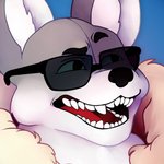 1:1 anthro black_nose blue_background canid canine canis compression_artifacts eyebrows eyewear fluffy fur grey_body grey_fur icon inner_ear_fluff jameskii male mammal open_mouth simple_background solo source_request sunglasses tongue traditional_media_(artwork) tuft unknown_artist wolf