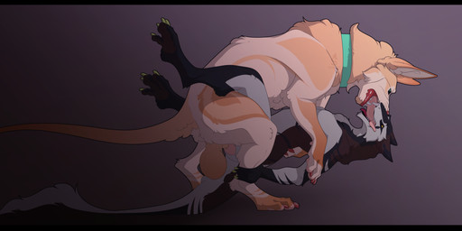 anthro balls bestiality bestiality_kiss black_bars duo female feral genitals knot male male/female penetration vaginal vaginal_penetration sabuky sabuke_(character) tara_(aksel2k) canid canine mammal sergal absurd_res hi_res letterbox