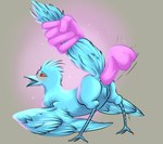 anal anivia_(lol) ass_up avian bird blue_body blue_feathers cryophoenix disembodied_hand disembodied_penis duo european_mythology feathers female feral genitals greek_mythology humanoid_hands league_of_legends looking_pleasured magic male mythological_avian mythological_bird mythological_creature mythological_firebird mythology penis phoenix riot_games sh1nob1 solo_focus tail tail_pull tencent tongue tongue_out