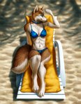 anthro beach_chair beach_towel bikini blue_collar blue_eyes clothed clothing collar detailed_background female fingers fur light looking_away orange_body orange_fur outside sand seaside shadow smile solo swimwear towel two-piece_swimsuit whiskers white_body white_fur kippycube elodie_(ortaon) canid canine canis domestic_dog husky mammal nordic_sled_dog spitz 2021 detailed digital_drawing_(artwork) digital_media_(artwork) lighting