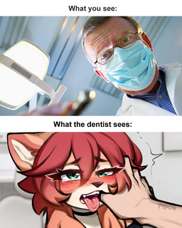 anthro blush dentist duo eyebrows eyelashes eyewear finger_in_mouth freckled_face freckles glasses hair looking_at_viewer male mask medical_instrument scientific_instrument surgical_mask text thumb_in_mouth tongue tongue_out yappcat what_you_see_vs_what_she_sees yumi_(catniplewds) domestic_cat felid feline felis human mammal 2025 4:5 digital_media_(artwork) english_text meme