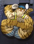 anthro belly blush bulge butt clothing cute_fangs fangs gloves handwear hat headgear headwear humanoid_hands kemono male moobs nipples overweight overweight_anthro overweight_male pink_nose solo teeth text underwear raichoclub felid mammal pantherine tiger 2020 hi_res japanese_text