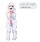 anthro balls erection fur genitals humanoid_genitalia humanoid_penis male nude penis solo text mirtilo family_guy brian_griffin canid canine canis domestic_dog mammal english_text