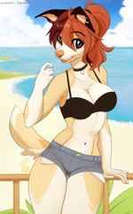 anthro arm_support beach beckoning bikini bikini_top bottomwear bouncing_breasts breasts clothing collar ear_piercing ear_ring eye_through_hair female gesture hair leaning looking_at_viewer one_eye_closed piercing ring_piercing seaside shorts smile solo swimwear tail tail_motion tailwag translucent translucent_hair two-piece_swimsuit wink berside wolflady danika_(wolflady) canid canine canis domestic_dog mammal 2022 2d_animation absurd_res animated collaboration hi_res motion_tweening portrait short_playtime sound three-quarter_portrait webm