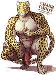 abs anthro balls cigar crouching genitals humanoid_genitalia humanoid_penis male muscular muscular_anthro muscular_male navel nipples nude nude_anthro nude_male penis simple_background solo white_background maririn charr_(maririn) felid leopard mammal pantherine hi_res