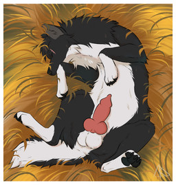 animal_genitalia animal_penis balls black_body black_fur border canine_genitalia canine_penis erection eye_scar facial_scar feral fur genitals knot knotted_penis lying male multicolored_body multicolored_fur on_back penis quadruped scar sleeping solo two_tone_body two_tone_fur white_body white_border white_fur midzushiro midnight_(midnightmoonlightwolf) canid canine canis mammal wolf 2026 hi_res