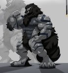 abs alternate_color ankle_tuft anthro arm_tuft biceps biped black_body black_fur black_hair body_hair body_tuft claws elbow_fur elbow_tuft facial_hair facial_tuft fist flexing fluffy fluffy_tail foot_tuft foreshadowing fur grey_body hair head_tuft leg_tuft looking_aside male muscular muscular_anthro muscular_male nipples palette pecs pubes serratus smile solo striped_body stripes tail tail_tuft toe_claws tuft yellow_eyes valentinesartx nintendo pokemon arcanine generation_1_pokemon pokemon_(species) 2025 hi_res