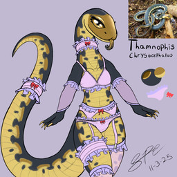 4_fingers accessory anthro anthrofied arm_warmers armwear bedroom_eyes big_tail black_body black_scales bow_panties bow_underwear bra breasts brown_eyes brown_tongue choker claws clothing eyelashes female female_anthro finger_claws fingers flat_chested forked_tongue frilly frilly_accessory frilly_armwear frilly_bra frilly_choker frilly_clothing frilly_garter frilly_legwear frilly_panties frilly_stockings frilly_underwear front_view furgonomics garter garter_belt garter_straps golden_claws gradient_tongue gusset jewelry legwear lingerie long_neck long_tail looking_at_viewer narrowed_eyes navel necklace non-mammal_breasts non-mammal_navel panties pink_arm_warmers pink_armwear pink_bra pink_choker pink_clothing pink_garter pink_jewelry pink_lingerie pink_necklace pink_panties pink_stockings pink_underwear scales seductive small_breasts smile smiling_at_viewer snout solo stockings tail tail_accessory tail_garter tapering_tail thick_tail thick_thighs tongue tongue_out translucent translucent_arm_warmers translucent_armwear translucent_clothing translucent_legwear translucent_stockings underwear ventral_scales yellow_body yellow_scales spe colubrid garter_snake goldenhead_garter_snake reptile scalie snake 1:1 2025 dated digital_drawing_(artwork) digital_media_(artwork) flat_colors hi_res portrait procreate_(artwork) signature three-quarter_portrait