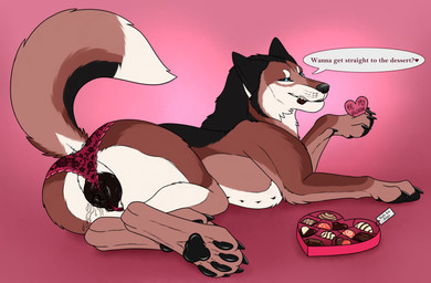 animal_genitalia animal_vulva black_body black_fur black_nose black_pawpads black_vulva blue_eyes bodily_fluids brown_body brown_fur candy canine_genitalia canine_vulva dessert female female_feral feral food fur genital_fluids genitals lingerie_on_feral looking_at_viewer narrowed_eyes pawpads side_view solo speech_bubble text vaginal_fluids vulva white_body white_fur killthe_demon brielle_(wolffylegend) canid canine mammal english_text hi_res
