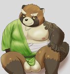 anthro balls belly brown_body brown_fur clothing fur genitals kemono male moobs nipples overweight overweight_anthro overweight_male robe scar simple_background sitting solo 5groo5 lifewonders tokyo_afterschool_summoners gyobu_(tas) canid canine mammal raccoon_dog tanuki 2020 hi_res