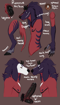 andromorph black_penis brown_background brown_eyes erection foreskin fur genitals humanoid_genitalia humanoid_penis humanoid_vulva intersex male nude penis purple_body purple_fur red_body red_fur side_view simple_background solo text vulva white_eyes rayliicious ronni_(rayliicious) english_text hi_res model_sheet