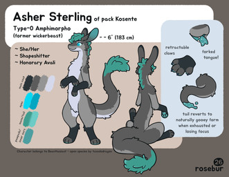 4_fingers 4_toes biped blue_claws blue_eyes blue_pupils canine_teeth claws color_swatch colored_pupils eyelashes feet fingerless_(marking) fingerless_gloves_(marking) fingers forked_tongue front_view fur gloves_(marking) grey_body grey_fur hair head_tuft hindpaw information leg_markings long_body long_ears long_torso mane markings measurements multiple_angles multiple_poses pawpads paws pose pupils rear_view retractable_claws sitting slime socks_(marking) solo standing tail tail_tuft teal_hair teal_mane teal_pawpads teal_slime teal_tongue text toeless_(marking) toeless_socks_(marking) toes tongue tuft underbelly rosebur_(artist) asher_sterling amphimorpho 2026 absurd_res character_name english_text full-length_portrait hi_res model_sheet portrait species_name