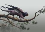 4_toes ambiguous_gender anisodactyl avian_feet beak branch brown_body brown_fur claws feathered_wings feathers feet feral fog fur open_mouth orange_eyes outside pine_needles solo tail talons toes wings sandara mythology avian gryphon mythological_avian mythological_creature