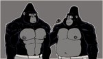 anthro barry_(sing) black_body black_fur bottomwear boxing boxing_shorts boxing_trunks burglar clothed clothing criminal duo fur gang gangster male male/male manly muscular muscular_male patting_back pecs robber shirtless shirtless_anthro shirtless_male shorts side_eye smile smiling_at_another smiling_at_partner sport stan_(sing) stocky thief thug topless topless_anthro topless_male training hunter-husky illumination_entertainment sing_(movie) ape gorilla haplorhine mammal primate hi_res